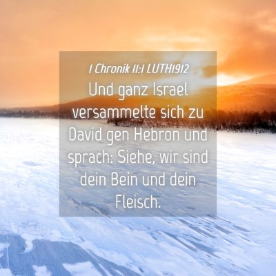 Picture 04 - 1 Chronik 11:1 LUTH1912 - Und ganz Israel versammelte sich zu David gen - Bible Verse Picture