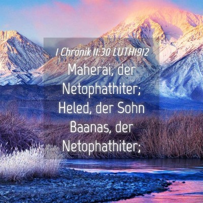 Picture 04 - 1 Chronik 11:30 LUTH1912 - Maherai, der Netophathiter; Heled, der Sohn - Bible Verse Picture