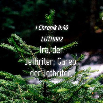Picture 04 - 1 Chronik 11:40 LUTH1912 - Ira, der Jethriter; Gareb, der - Bible Verse Picture