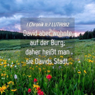 Picture 04 - 1 Chronik 11:7 LUTH1912 - David aber wohnte auf der Burg; daher heißt man - Bible Verse Picture