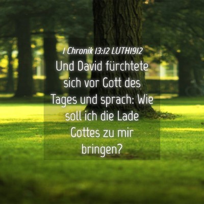Picture 04 - 1 Chronik 13:12 LUTH1912 - Und David fürchtete sich vor Gott des Tages und - Bible Verse Picture