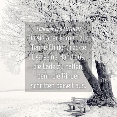 Picture 04 - 1 Chronik 13:9 LUTH1912 - Da sie aber kamen zur Tenne Chidon, reckte Usa - Bible Verse Picture