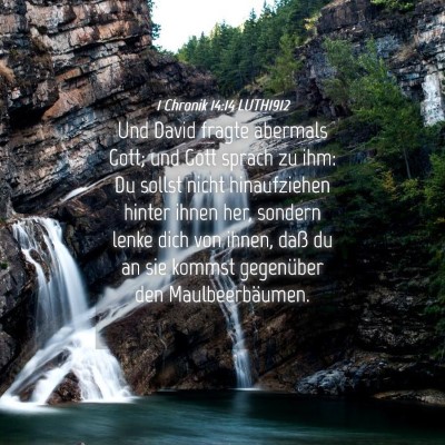 Picture 04 - 1 Chronik 14:14 LUTH1912 - Und David fragte abermals Gott; und Gott sprach - Bible Verse Picture