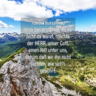 Picture 04 - 1 Chronik 15:13 LUTH1912 - denn das erstemal, da ihr nicht da waret, machte - Bible Verse Picture