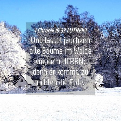 Picture 04 - 1 Chronik 16:33 LUTH1912 - Und lasset jauchzen alle Bäume im Walde vor dem - Bible Verse Picture