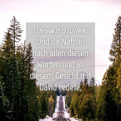 Picture 04 - 1 Chronik 17:15 LUTH1912 - Und da Nathan nach allen diesen Worten und all - Bible Verse Picture