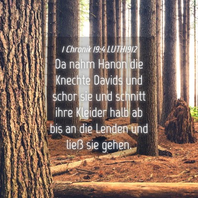 Picture 04 - 1 Chronik 19:4 LUTH1912 - Da nahm Hanon die Knechte Davids und schor sie - Bible Verse Picture