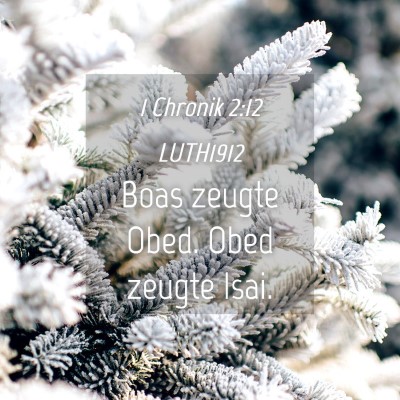 Picture 04 - 1 Chronik 2:12 LUTH1912 - Boas zeugte Obed. Obed zeugte - Bible Verse Picture