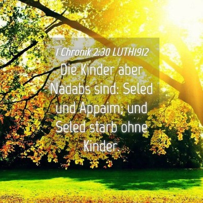 Picture 04 - 1 Chronik 2:30 LUTH1912 - Die Kinder aber Nadabs sind: Seled und Appaim; - Bible Verse Picture
