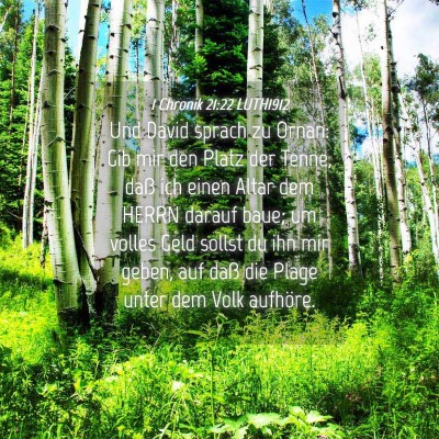 Picture 04 - 1 Chronik 21:22 LUTH1912 - Und David sprach zu Ornan: Gib mir den Platz der - Bible Verse Picture