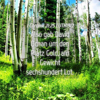 Picture 04 - 1 Chronik 21:25 LUTH1912 - Also gab David Ornan um den Platz Gold, am - Bible Verse Picture