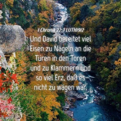 Picture 04 - 1 Chronik 22:3 LUTH1912 - Und David bereitet viel Eisen zu Nägeln an die - Bible Verse Picture