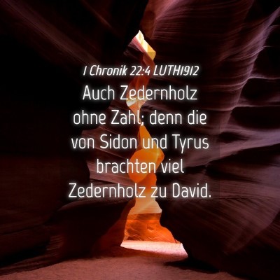 Picture 04 - 1 Chronik 22:4 LUTH1912 - Auch Zedernholz ohne Zahl; denn die von Sidon und - Bible Verse Picture