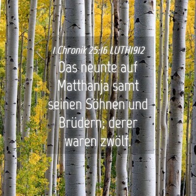 Picture 04 - 1 Chronik 25:16 LUTH1912 - Das neunte auf Matthanja samt seinen Söhnen und - Bible Verse Picture