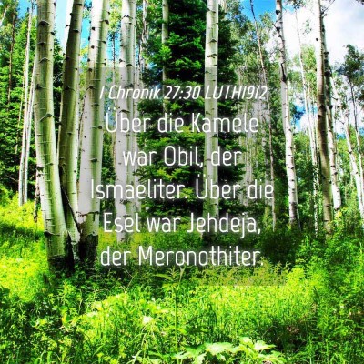 Picture 04 - 1 Chronik 27:30 LUTH1912 - Über die Kamele war Obil, der Ismaeliter. Über - Bible Verse Picture