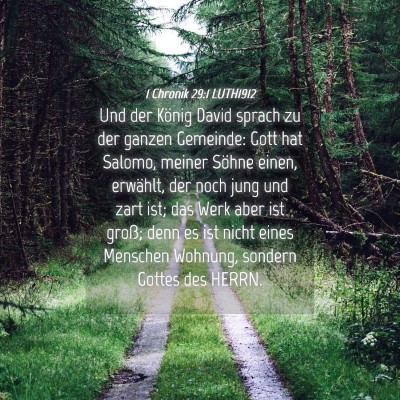 Picture 04 - 1 Chronik 29:1 LUTH1912 - Und der König David sprach zu der ganzen - Bible Verse Picture