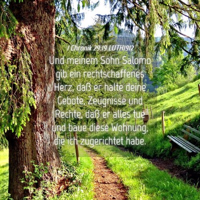 Picture 04 - 1 Chronik 29:19 LUTH1912 - Und meinem Sohn Salomo gib ein rechtschaffenes - Bible Verse Picture