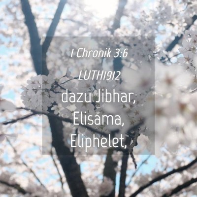 Picture 04 - 1 Chronik 3:6 LUTH1912 - dazu Jibhar, Elisama, - Bible Verse Picture