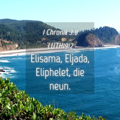 Picture 04 - 1 Chronik 3:8 LUTH1912 - Elisama, Eljada, Eliphelet, die - Bible Verse Picture