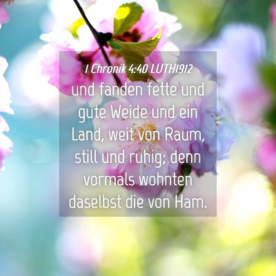 Picture 04 - 1 Chronik 4:40 LUTH1912 - und fanden fette und gute Weide und ein Land, - Bible Verse Picture