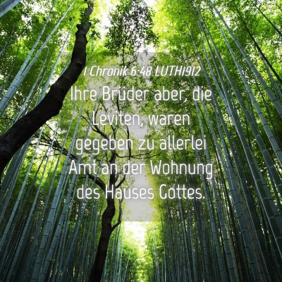 Picture 04 - 1 Chronik 6:48 LUTH1912 - Ihre Brüder aber, die Leviten, waren gegeben zu - Bible Verse Picture
