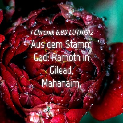 Picture 04 - 1 Chronik 6:80 LUTH1912 - Aus dem Stamm Gad: Ramoth in Gilead, - Bible Verse Picture