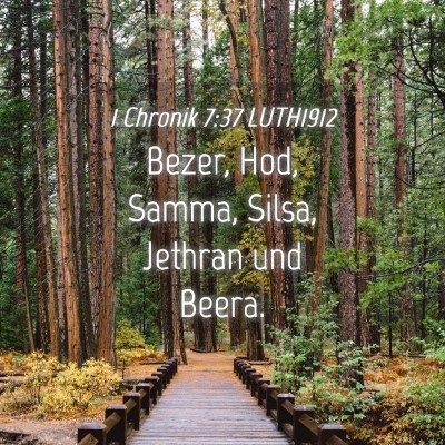 Picture 04 - 1 Chronik 7:37 LUTH1912 - Bezer, Hod, Samma, Silsa, Jethran und - Bible Verse Picture