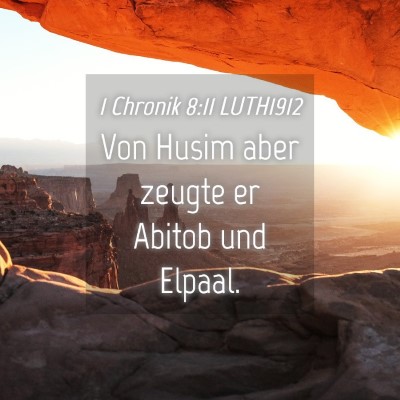 Picture 04 - 1 Chronik 8:11 LUTH1912 - Von Husim aber zeugte er Abitob und - Bible Verse Picture