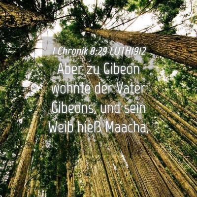 Picture 04 - 1 Chronik 8:29 LUTH1912 - Aber zu Gibeon wohnte der Vater Gibeons, und sein - Bible Verse Picture