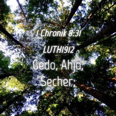 Picture 04 - 1 Chronik 8:31 LUTH1912 - Gedo, Ahjo, - Bible Verse Picture