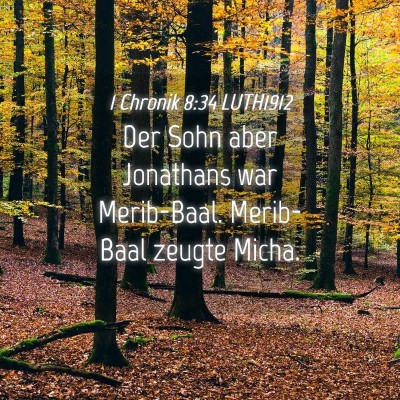 Picture 04 - 1 Chronik 8:34 LUTH1912 - Der Sohn aber Jonathans war Merib-Baal. - Bible Verse Picture