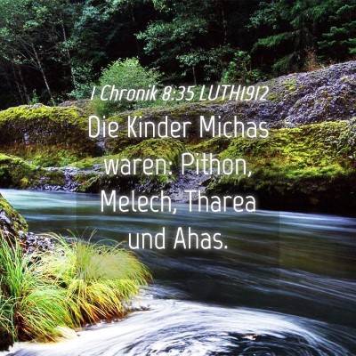 Picture 04 - 1 Chronik 8:35 LUTH1912 - Die Kinder Michas waren: Pithon, Melech, Tharea - Bible Verse Picture