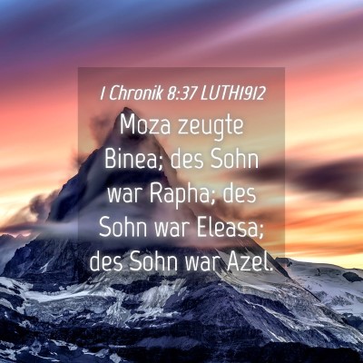 Picture 04 - 1 Chronik 8:37 LUTH1912 - Moza zeugte Binea; des Sohn war Rapha; des Sohn - Bible Verse Picture