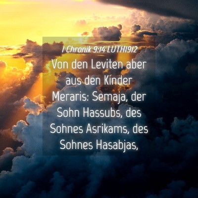 Picture 04 - 1 Chronik 9:14 LUTH1912 - Von den Leviten aber aus den Kinder Meraris: - Bible Verse Picture