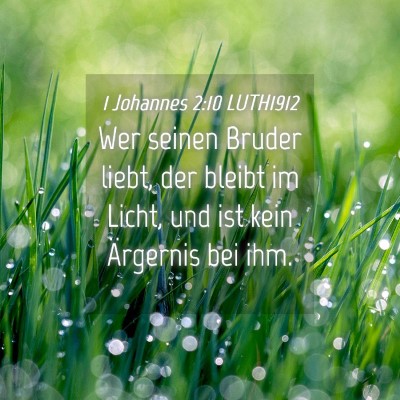 Picture 04 - 1 Johannes 2:10 LUTH1912 - Wer seinen Bruder liebt, der bleibt im Licht, und - Bible Verse Picture