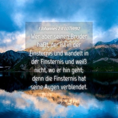 Picture 04 - 1 Johannes 2:11 LUTH1912 - Wer aber seinen Bruder haßt, der ist in der - Bible Verse Picture