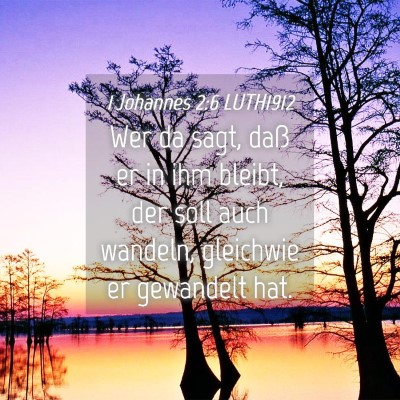 Picture 04 - 1 Johannes 2:6 LUTH1912 - Wer da sagt, daß er in ihm bleibt, der soll auch - Bible Verse Picture