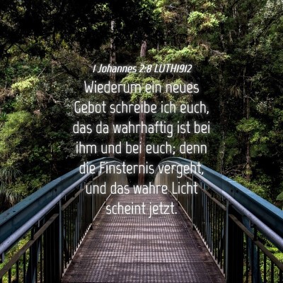 Picture 04 - 1 Johannes 2:8 LUTH1912 - Wiederum ein neues Gebot schreibe ich euch, das - Bible Verse Picture