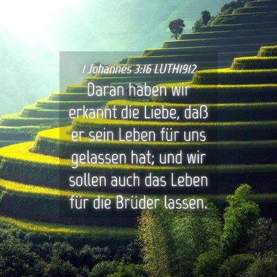 Picture 04 - 1 Johannes 3:16 LUTH1912 - Daran haben wir erkannt die Liebe, daß er sein - Bible Verse Picture
