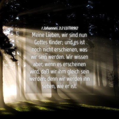 Picture 04 - 1 Johannes 3:2 LUTH1912 - Meine Lieben, wir sind nun Gottes Kinder; und es - Bible Verse Picture