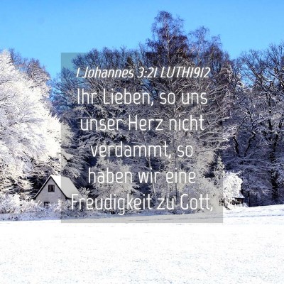 Picture 04 - 1 Johannes 3:21 LUTH1912 - Ihr Lieben, so uns unser Herz nicht verdammt, so - Bible Verse Picture