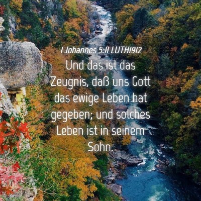 Picture 04 - 1 Johannes 5:11 LUTH1912 - Und das ist das Zeugnis, daß uns Gott das ewige - Bible Verse Picture