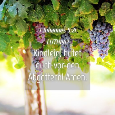 Picture 04 - 1 Johannes 5:21 LUTH1912 - Kindlein, hütet euch vor den Abgöttern! - Bible Verse Picture