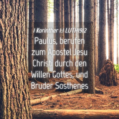 Picture 04 - 1 Korinther 1:1 LUTH1912 - Paulus, berufen zum Apostel Jesu Christi durch - Bible Verse Picture