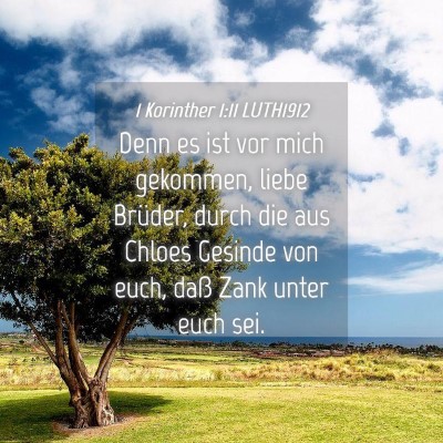 Picture 04 - 1 Korinther 1:11 LUTH1912 - Denn es ist vor mich gekommen, liebe Brüder, - Bible Verse Picture