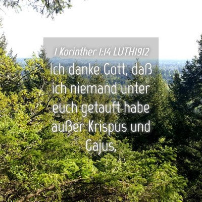 Picture 04 - 1 Korinther 1:14 LUTH1912 - Ich danke Gott, daß ich niemand unter euch - Bible Verse Picture
