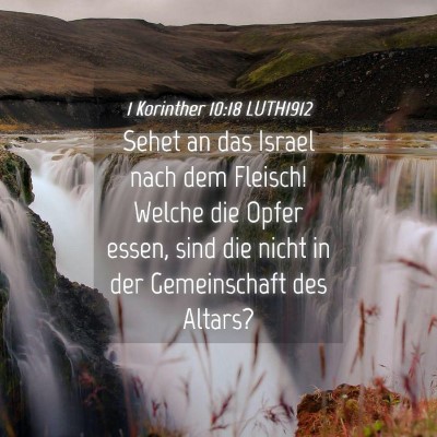 Picture 04 - 1 Korinther 10:18 LUTH1912 - Sehet an das Israel nach dem Fleisch! Welche die - Bible Verse Picture