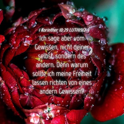 Picture 04 - 1 Korinther 10:29 LUTH1912 - Ich sage aber vom Gewissen, nicht deiner selbst, - Bible Verse Picture