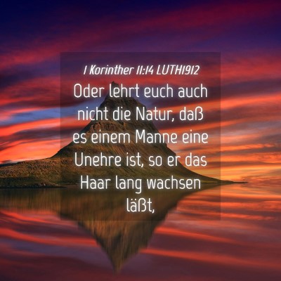 Picture 04 - 1 Korinther 11:14 LUTH1912 - Oder lehrt euch auch nicht die Natur, daß es - Bible Verse Picture