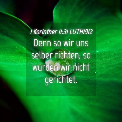 Picture 04 - 1 Korinther 11:31 LUTH1912 - Denn so wir uns selber richten, so würden wir - Bible Verse Picture
